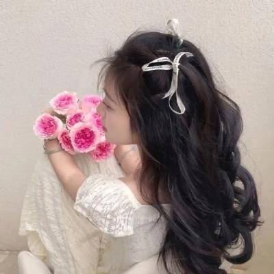 戴洛奇小镇第一季海报